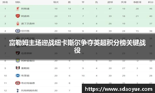 富勒姆主场迎战纽卡斯尔争夺英超积分榜关键战役